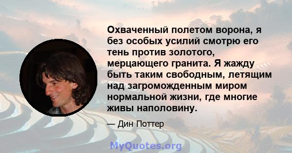 Охваченный полетом ворона, я без особых усилий смотрю его тень против золотого, мерцающего гранита. Я жажду быть таким свободным, летящим над загроможденным миром нормальной жизни, где многие живы наполовину.