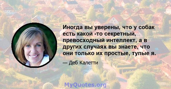 Иногда вы уверены, что у собак есть какой -то секретный, превосходный интеллект, а в других случаях вы знаете, что они только их простые, тупые я.