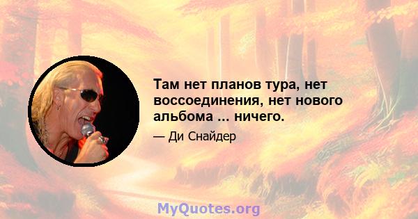 Там нет планов тура, нет воссоединения, нет нового альбома ... ничего.