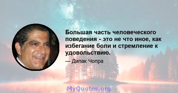 Большая часть человеческого поведения - это не что иное, как избегание боли и стремление к удовольствию.