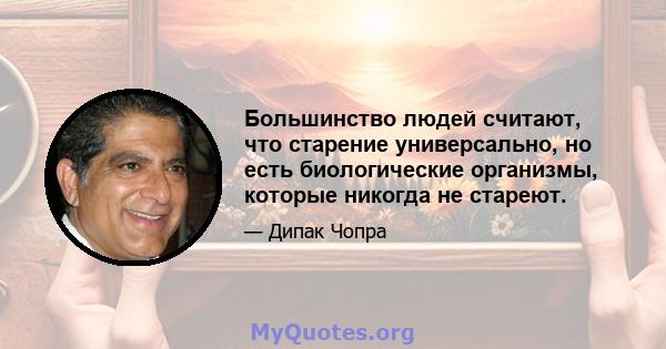 Большинство людей считают, что старение универсально, но есть биологические организмы, которые никогда не стареют.