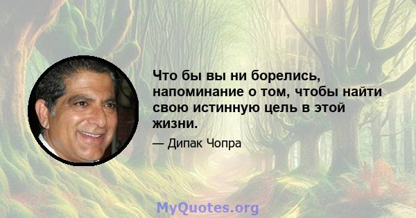 Что бы вы ни борелись, напоминание о том, чтобы найти свою истинную цель в этой жизни.