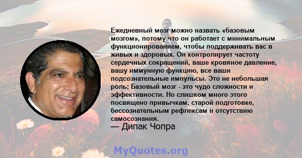 Ежедневный мозг можно назвать «базовым мозгом», потому что он работает с минимальным функционированием, чтобы поддерживать вас в живых и здоровых. Он контролирует частоту сердечных сокращений, ваше кровяное давление,