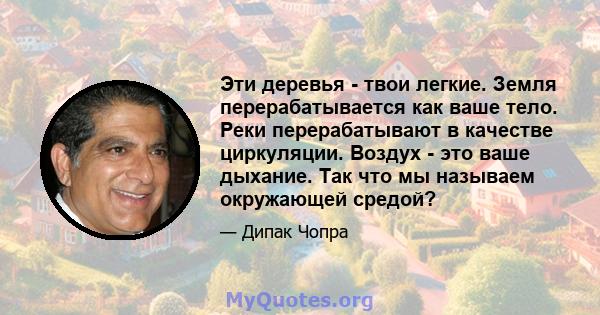 Эти деревья - твои легкие. Земля перерабатывается как ваше тело. Реки перерабатывают в качестве циркуляции. Воздух - это ваше дыхание. Так что мы называем окружающей средой?