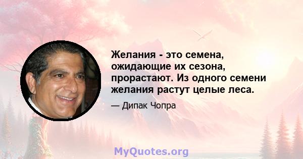 Желания - это семена, ожидающие их сезона, прорастают. Из одного семени желания растут целые леса.