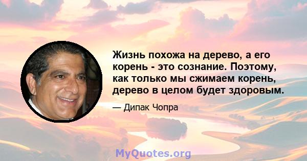 Жизнь похожа на дерево, а его корень - это сознание. Поэтому, как только мы сжимаем корень, дерево в целом будет здоровым.