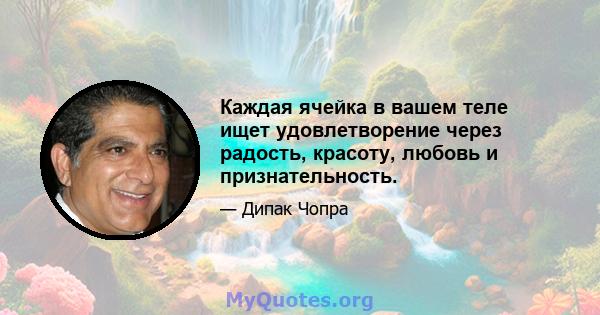 Каждая ячейка в вашем теле ищет удовлетворение через радость, красоту, любовь и признательность.