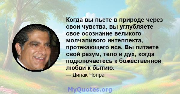 Когда вы пьете в природе через свои чувства, вы углубляете свое осознание великого молчаливого интеллекта, протекающего все. Вы питаете свой разум, тело и дух, когда подключаетесь к божественной любви к бытию.