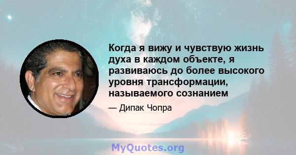 Когда я вижу и чувствую жизнь духа в каждом объекте, я развиваюсь до более высокого уровня трансформации, называемого сознанием