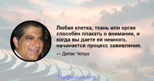 Любая клетка, ткань или орган способен плакать о внимании, и когда вы даете ей немного, начинается процесс заживления.