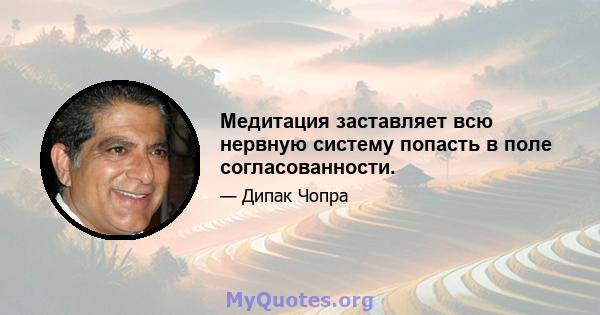 Медитация заставляет всю нервную систему попасть в поле согласованности.