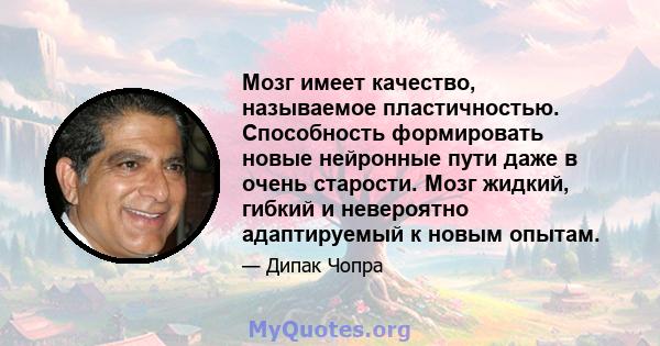 Мозг имеет качество, называемое пластичностью. Способность формировать новые нейронные пути даже в очень старости. Мозг жидкий, гибкий и невероятно адаптируемый к новым опытам.