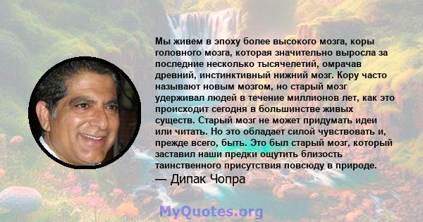 Мы живем в эпоху более высокого мозга, коры головного мозга, которая значительно выросла за последние несколько тысячелетий, омрачав древний, инстинктивный нижний мозг. Кору часто называют новым мозгом, но старый мозг