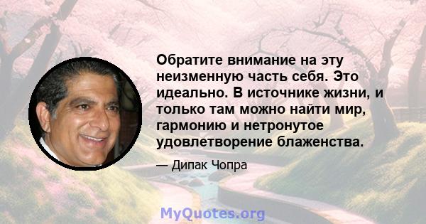 Обратите внимание на эту неизменную часть себя. Это идеально. В источнике жизни, и только там можно найти мир, гармонию и нетронутое удовлетворение блаженства.