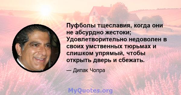 Пуфболы тщеславия, когда они не абсурдно жестоки; Удовлетворительно недоволен в своих умственных тюрьмах и слишком упрямый, чтобы открыть дверь и сбежать.