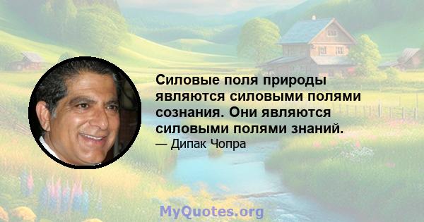 Силовые поля природы являются силовыми полями сознания. Они являются силовыми полями знаний.