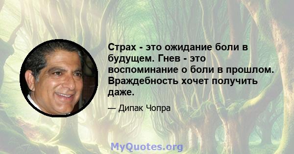 Страх - это ожидание боли в будущем. Гнев - это воспоминание о боли в прошлом. Враждебность хочет получить даже.