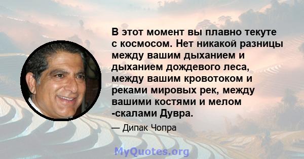 В этот момент вы плавно текуте с космосом. Нет никакой разницы между вашим дыханием и дыханием дождевого леса, между вашим кровотоком и реками мировых рек, между вашими костями и мелом -скалами Дувра.