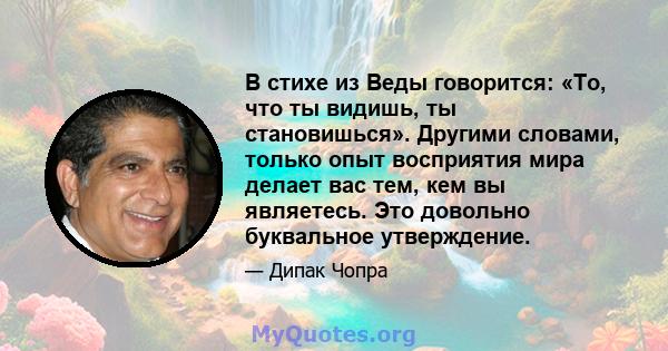 В стихе из Веды говорится: «То, что ты видишь, ты становишься». Другими словами, только опыт восприятия мира делает вас тем, кем вы являетесь. Это довольно буквальное утверждение.