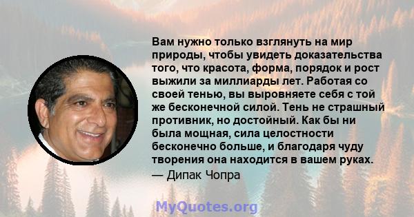 Вам нужно только взглянуть на мир природы, чтобы увидеть доказательства того, что красота, форма, порядок и рост выжили за миллиарды лет. Работая со своей тенью, вы выровняете себя с той же бесконечной силой. Тень не