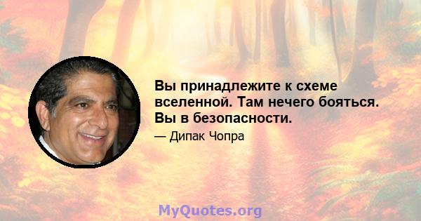 Вы принадлежите к схеме вселенной. Там нечего бояться. Вы в безопасности.