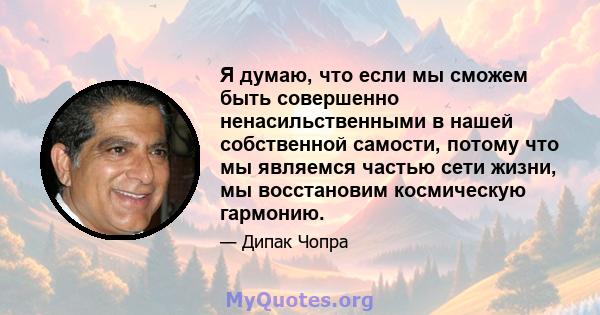 Я думаю, что если мы сможем быть совершенно ненасильственными в нашей собственной самости, потому что мы являемся частью сети жизни, мы восстановим космическую гармонию.