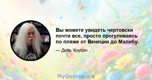 Вы можете увидеть чертовски почти все, просто прогуливаясь по пляже от Венеции до Малибу.