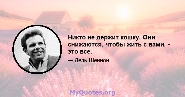 Никто не держит кошку. Они снижаются, чтобы жить с вами, - это все.