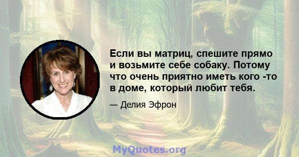 Если вы матриц, спешите прямо и возьмите себе собаку. Потому что очень приятно иметь кого -то в доме, который любит тебя.