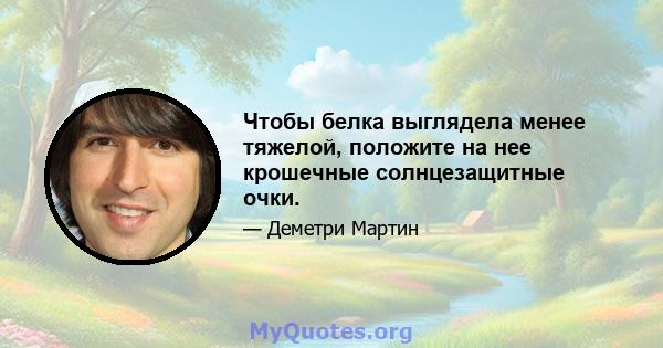 Чтобы белка выглядела менее тяжелой, положите на нее крошечные солнцезащитные очки.