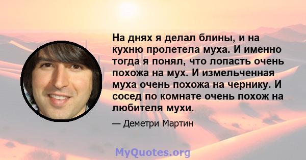 На днях я делал блины, и на кухню пролетела муха. И именно тогда я понял, что лопасть очень похожа на мух. И измельченная муха очень похожа на чернику. И сосед по комнате очень похож на любителя мухи.