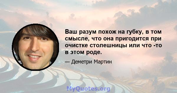 Ваш разум похож на губку, в том смысле, что она пригодится при очистке столешницы или что -то в этом роде.