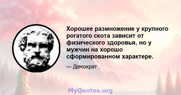 Хорошее размножение у крупного рогатого скота зависит от физического здоровья, но у мужчин на хорошо сформированном характере.