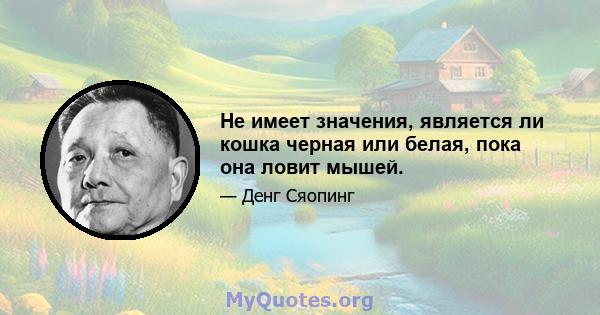 Не имеет значения, является ли кошка черная или белая, пока она ловит мышей.