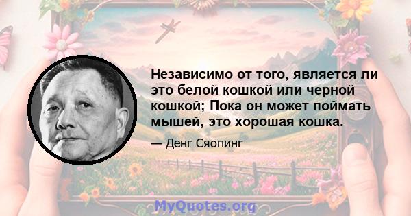 Независимо от того, является ли это белой кошкой или черной кошкой; Пока он может поймать мышей, это хорошая кошка.