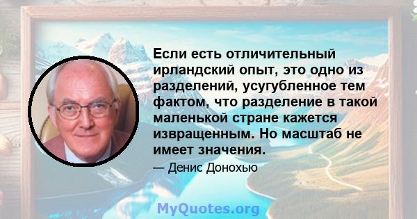 Если есть отличительный ирландский опыт, это одно из разделений, усугубленное тем фактом, что разделение в такой маленькой стране кажется извращенным. Но масштаб не имеет значения.