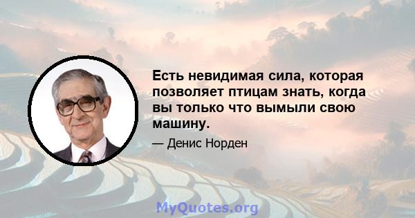 Есть невидимая сила, которая позволяет птицам знать, когда вы только что вымыли свою машину.