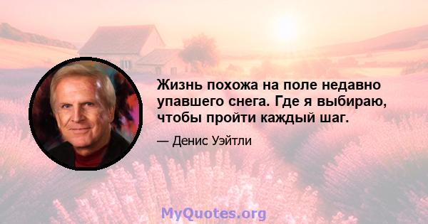 Жизнь похожа на поле недавно упавшего снега. Где я выбираю, чтобы пройти каждый шаг.