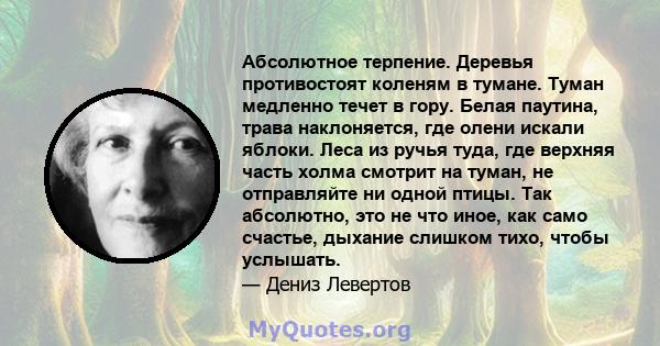 Абсолютное терпение. Деревья противостоят коленям в тумане. Туман медленно течет в гору. Белая паутина, трава наклоняется, где олени искали яблоки. Леса из ручья туда, где верхняя часть холма смотрит на туман, не