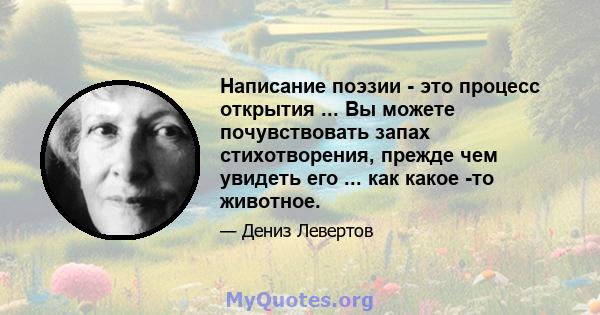 Написание поэзии - это процесс открытия ... Вы можете почувствовать запах стихотворения, прежде чем увидеть его ... как какое -то животное.