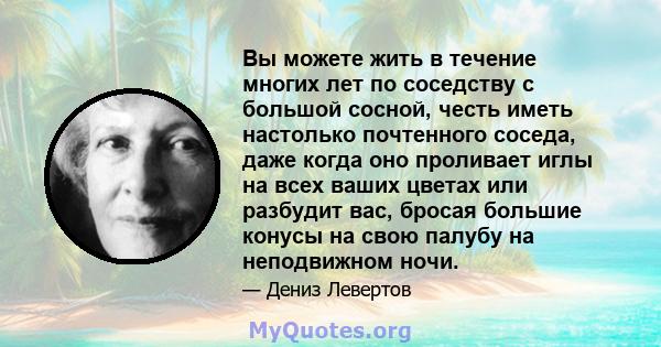 Вы можете жить в течение многих лет по соседству с большой сосной, честь иметь настолько почтенного соседа, даже когда оно проливает иглы на всех ваших цветах или разбудит вас, бросая большие конусы на свою палубу на