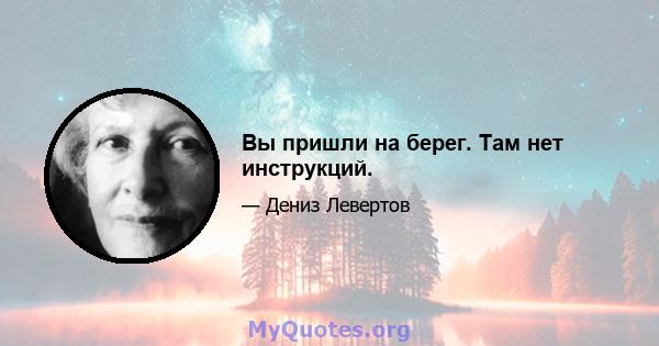 Вы пришли на берег. Там нет инструкций.