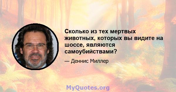 Сколько из тех мертвых животных, которых вы видите на шоссе, являются самоубийствами?