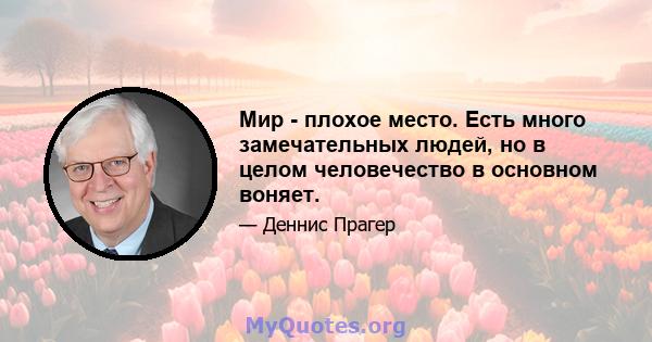 Мир - плохое место. Есть много замечательных людей, но в целом человечество в основном воняет.