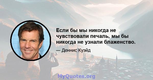 Если бы мы никогда не чувствовали печаль, мы бы никогда не узнали блаженство.