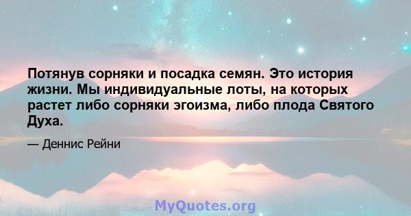 Потянув сорняки и посадка семян. Это история жизни. Мы индивидуальные лоты, на которых растет либо сорняки эгоизма, либо плода Святого Духа.