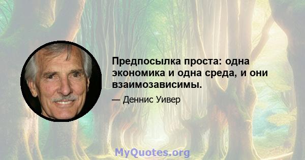 Предпосылка проста: одна экономика и одна среда, и они взаимозависимы.