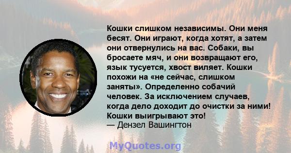 Кошки слишком независимы. Они меня бесят. Они играют, когда хотят, а затем они отвернулись на вас. Собаки, вы бросаете мяч, и они возвращают его, язык тусуется, хвост виляет. Кошки похожи на «не сейчас, слишком заняты». 