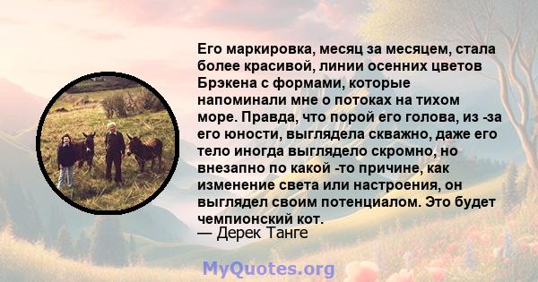 Его маркировка, месяц за месяцем, стала более красивой, линии осенних цветов Брэкена с формами, которые напоминали мне о потоках на тихом море. Правда, что порой его голова, из -за его юности, выглядела скважно, даже