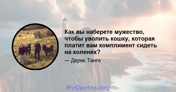 Как вы наберете мужество, чтобы уволить кошку, которая платит вам комплимент сидеть на коленях?